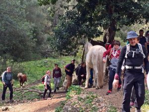 excursiocamino3_1
