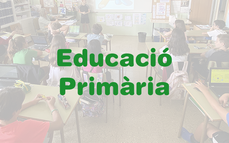 boto educacio primaria